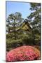 Kyoto, Japan. The Ninomaru Palace is gilded with gold at Nijo Castle-Miva Stock-Mounted Photographic Print