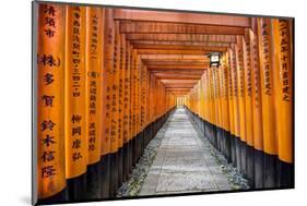 Kyoto Shrine Fushimi Inari Taisha-null-Mounted Art Print