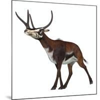 Kyptoceras on White Background-Stocktrek Images-Mounted Premium Giclee Print