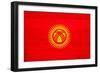 Kyrgyzstan Flag Design with Wood Patterning - Flags of the World Series-Philippe Hugonnard-Framed Premium Giclee Print