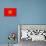 Kyrgyzstan Flag Design with Wood Patterning - Flags of the World Series-Philippe Hugonnard-Stretched Canvas displayed on a wall