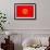 Kyrgyzstan Flag Design with Wood Patterning - Flags of the World Series-Philippe Hugonnard-Framed Art Print displayed on a wall