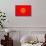 Kyrgyzstan Flag Design with Wood Patterning - Flags of the World Series-Philippe Hugonnard-Mounted Art Print displayed on a wall