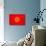 Kyrgyzstan Flag Design with Wood Patterning - Flags of the World Series-Philippe Hugonnard-Art Print displayed on a wall