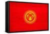 Kyrgyzstan Flag Design with Wood Patterning - Flags of the World Series-Philippe Hugonnard-Framed Stretched Canvas