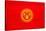 Kyrgyzstan Flag Design with Wood Patterning - Flags of the World Series-Philippe Hugonnard-Stretched Canvas