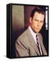 L.A. Confidential-null-Framed Stretched Canvas