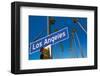 L.A. Dreams-null-Framed Art Print