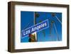 L.A. Dreams-null-Framed Art Print