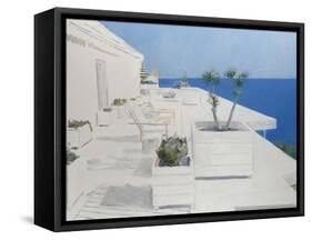 L.A. Garden-Alessandro Raho-Framed Stretched Canvas