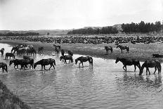 Old Piper Dan Ranch, Tongue River, Montana Territory-LA Huffman-Stretched Canvas