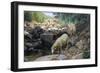 L'Abbeverata Del Gregge Nel Rio Restano (Flock Watering at Restano Stream)-Stefano Bruzzi-Framed Giclee Print