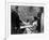 L'affaire Ciceron FIVE FINGERS by JosephMankiewicz with James Mason, Danielle Darrieux, 1952 (b/w p-null-Framed Photo