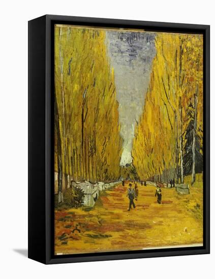 L'Allee Des Alyscamps, Arles, 1888-Vincent van Gogh-Framed Stretched Canvas