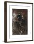 L'Amazone-Giovanni Boldini-Framed Premium Giclee Print