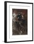 L'Amazone-Giovanni Boldini-Framed Premium Giclee Print