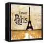 L'amour de Paris Gold-Dan Meneely-Framed Stretched Canvas