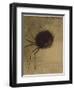 L'Araignée souriante-Odilon Redon-Framed Premium Giclee Print