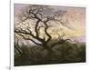 L'Arbre aux corbeaux-Caspar David Friedrich-Framed Giclee Print