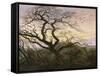 L'Arbre aux corbeaux-Caspar David Friedrich-Framed Stretched Canvas