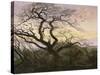 L'Arbre aux corbeaux-Caspar David Friedrich-Stretched Canvas