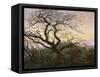 L'Arbre aux corbeaux-Caspar David Friedrich-Framed Stretched Canvas