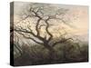 L'Arbre aux corbeaux-Caspar David Friedrich-Stretched Canvas