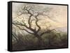 L'Arbre aux corbeaux-Caspar David Friedrich-Framed Stretched Canvas