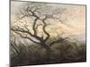 L'Arbre aux corbeaux-Caspar David Friedrich-Mounted Giclee Print