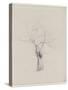 L'Arbre nu-Odilon Redon-Stretched Canvas