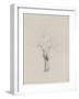 L'Arbre nu-Odilon Redon-Framed Giclee Print