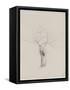 L'Arbre nu-Odilon Redon-Framed Stretched Canvas