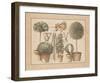 L'Art de Former les Topiaires, la Vigne-Laurence David-Framed Art Print