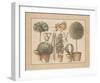 L'Art de Former les Topiaires, la Vigne-Laurence David-Framed Art Print