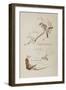 L'art japonais par Louis Gonse-null-Framed Giclee Print