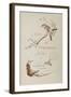 L'art japonais par Louis Gonse-null-Framed Giclee Print