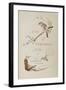 L'art japonais par Louis Gonse-null-Framed Giclee Print