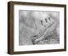 L'Atlantique Aflame Near English Channel-null-Framed Photographic Print