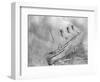 L'Atlantique Aflame Near English Channel-null-Framed Photographic Print