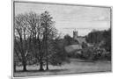 Wood Mount