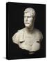 L'empereur Hadrien, buste cuirassé (empereur de 117-138 ap J.C)-null-Stretched Canvas