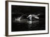 L'Envol-Piet Flour-Framed Photographic Print