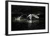 L'Envol-Piet Flour-Framed Photographic Print