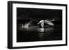 L'Envol-Piet Flour-Framed Photographic Print