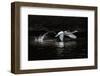 L'Envol-Piet Flour-Framed Photographic Print