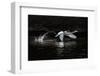 L'Envol-Piet Flour-Framed Photographic Print