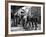 L'Equipee Sauvage THE WILD ONE by Laszlo Benedek with Marlon Brando and Yvonne Doughty, 1953 (b/w p-null-Framed Photo