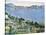L'Estaque, View of the Bay of Marseilles, circa 1878-79-Paul C?zanne-Stretched Canvas