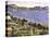 L'Estaque vue du golfe de Marseille-Paul Cézanne-Stretched Canvas