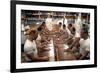 L'Etoffe des heros (The Right Stuff) by PhilipKaufman, 1983 (photo)-null-Framed Photo